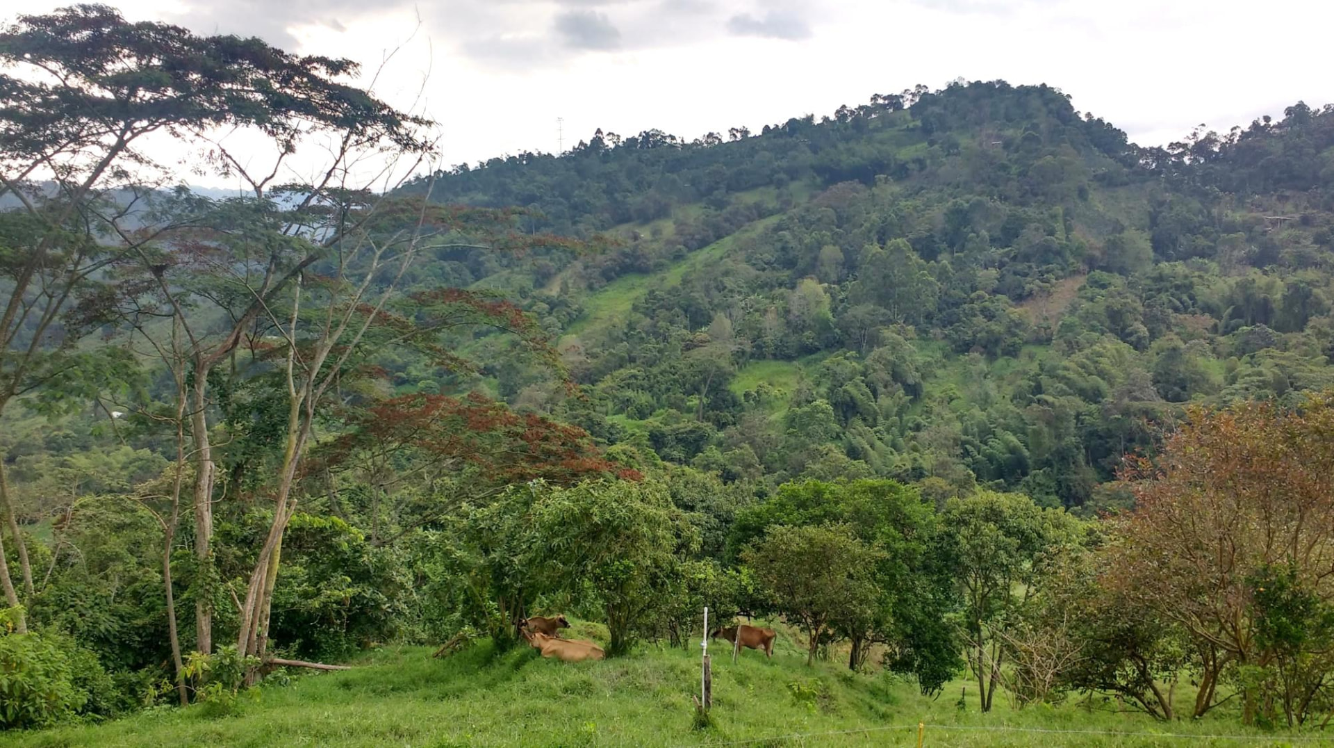 Imagen provisional para soluciones de agua y geosistemas rurales
